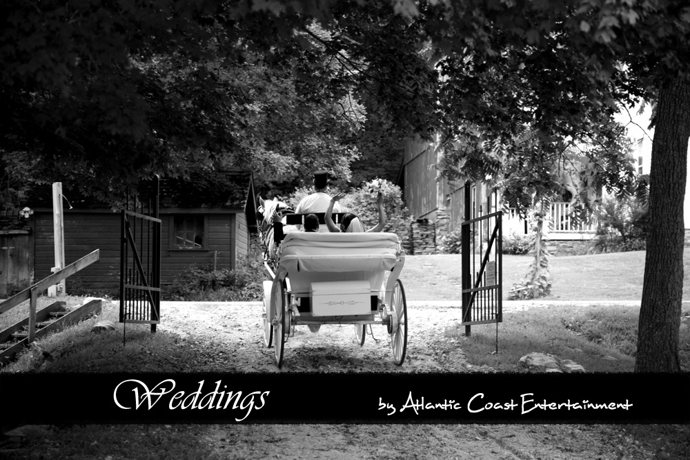  CT Wedding Horse Drawn Carriage